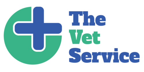 cover letter for vet school