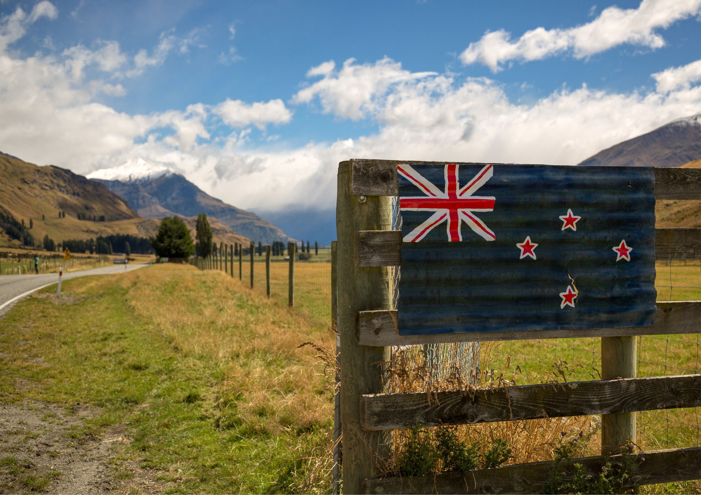 what-visa-do-i-need-to-work-as-a-vet-in-new-zealand-the-vet-service