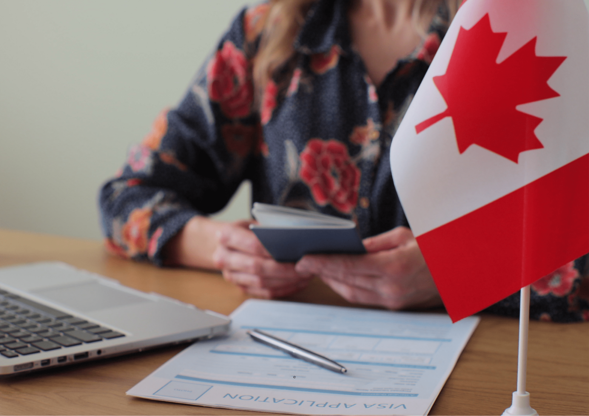 what-visa-do-i-need-to-work-as-a-vet-in-canada-the-vet-service