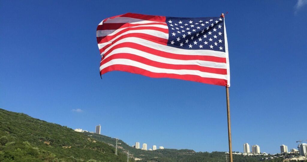 working as a vet in the us
